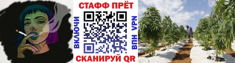 ГАШ Элиста