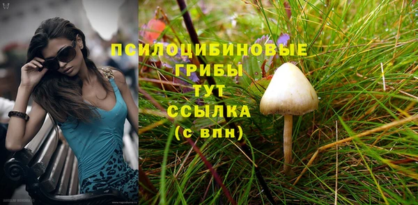 герыч Алзамай