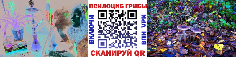 MEGA зеркало Элиста Галлюциногенные грибы Psilocybe